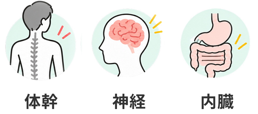 体幹・神経・内臓の3つの視点